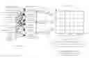 Fig. 01 - Cyber gene identification technology based on entity features in cyber space