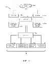 Fig. 02 - Load balancing in a network with session information