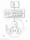 Fig. 02 - Protecting against suspect social entities