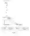 Fig. 04 - Glyphosate tolerant corn event VCO-O1981-5 and kit and method for detecting the same