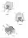 Fig. 03 - Toothbrush apparatus having multiple rotatable brushing systems