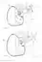 Fig. 02 - Cable retaining apparatus