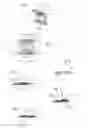 Fig. 02 - Buckle