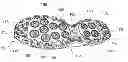 Fig. 01 - Sole for a shoe
