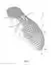 Fig. 02 - SOLE ASSEMBLY FOR ARTICLE OF FOOTWEAR