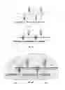 Fig. 12 - Permeable Three Dimensional Multi-Layer Farming