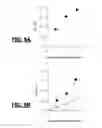 Fig. 06 - Method for detecting cells with elastic cell membranes