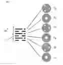 Fig. 04 - REACTOR DESIGN FOR GROWING GROUP III NITRIDE CRYSTALS AND METHOD OF GROWING GROUP III NITRIDE CRYSTALS