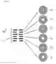 Fig. 06 - REACTOR DESIGN FOR GROWING GROUP III NITRIDE CRYSTALS AND METHOD OF GROWING GROUP III NITRIDE CRYSTALS