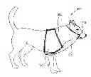 Fig. 01 - Device, Set and Method for Limiting a Freedom of Movement of a Living Being