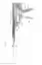 Fig. 44 - METHODS AND APPARATUS FOR INSERTING A DEVICE OR PHARMACEUTICAL INTO A UTERUS
