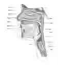 Fig. 04 - Mandibular repositioning device