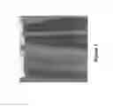 Fig. 02 - Coloring agents and methods of use thereof