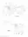 Fig. 02 - DENTAL FLOSSERS
