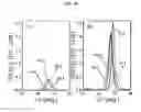 Fig. 11 - Se OR S BASED THIN FILM SOLAR CELL AND METHOD FOR FABRICATING THE SAME