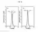 Fig. 15 - Se OR S BASED THIN FILM SOLAR CELL AND METHOD FOR FABRICATING THE SAME
