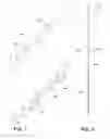 Fig. 07 - FLUID FLOW DIRECTOR