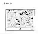 Fig. 07 - Method for producing shaped article of aluminum alloy, shaped aluminum alloy article and production system