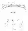 Fig. 02 - Crown for an aircraft tire