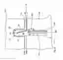 Fig. 06 - Method and tooling station for manufacturing a lining part