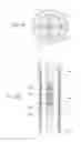 Fig. 09 - Methods and apparatus for wellbore construction and completion