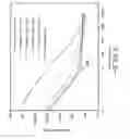 Fig. 10 - Iridium Oxide Coating with Cauliflower Morphology for Functional Electrical Stimulation Applications