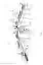 Fig. 02 - Apparatus and a process for producing connecting cables