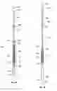 Fig. 04 - Downhole tool impact dissipating tool