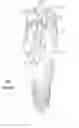 Fig. 02 - ROTATING CUTTING ELEMENTS FOR PDC BITS