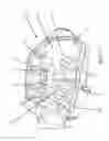 Fig. 02 - Articulating multi-adjustable divider system