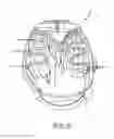 Fig. 08 - Articulating multi-adjustable divider system