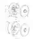 Fig. 03 - Drive shaft structure