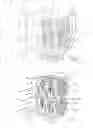 Fig. 07 - Packaging for wound coil