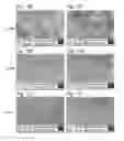 Fig. 43 - MEMBRANE NANOFILTERS