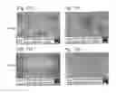 Fig. 44 - MEMBRANE NANOFILTERS