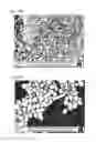 Fig. 64 - MEMBRANE NANOFILTERS