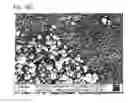 Fig. 75 - MEMBRANE NANOFILTERS