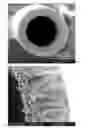 Fig. 01 - DOPED MEMBRANES
