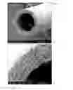Fig. 04 - DOPED MEMBRANES