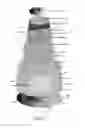 Fig. 07 - Dual flow sorbent cartridge