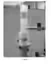 Fig. 03 - Wastewater purification with nanoparticle-treated bed