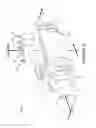 Fig. 06 - Salt water pool chlorinator having a sensor