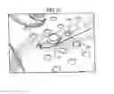 Fig. 35 - Product management display system with trackless pusher mechanism