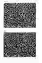 Fig. 02 - Microetching solution for copper, replenishment solution therefor and method for production of wiring board
