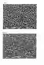 Fig. 04 - Microetching solution for copper, replenishment solution therefor and method for production of wiring board