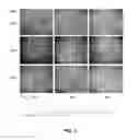 Fig. 04 - Conductive transparent film and method for making same