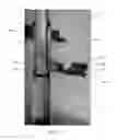 Fig. 08 - Tower track play set