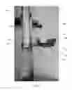 Fig. 09 - Tower track play set
