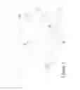 Fig. 02 - Compressive grinder for a bed of materials