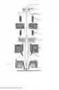 Fig. 06 - Permanent magnet based high performance multi-axis immersion electron lens array with low axial leakage field